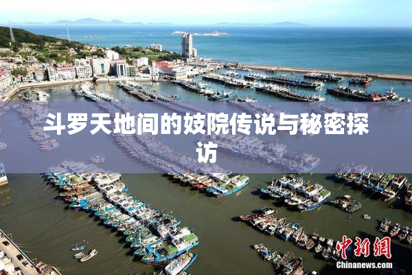 斗罗天地间的妓院传说与秘密探访