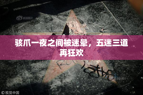 骇爪一夜之间被迷晕，五迷三道再狂欢