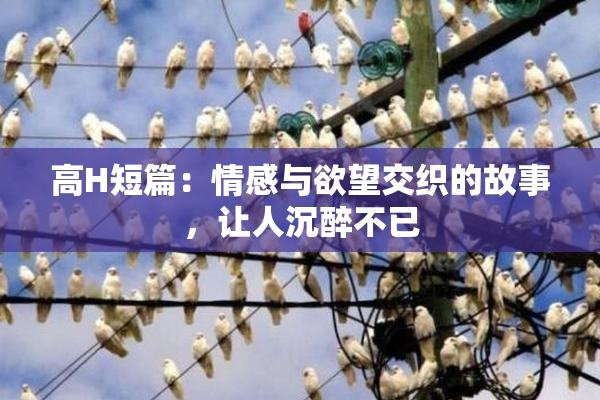高H短篇：情感与欲望交织的故事，让人沉醉不已