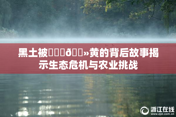 黑土被❌‌‌🐻黄的背后故事揭示生态危机与农业挑战