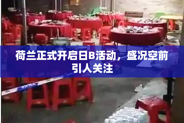 荷兰正式开启日B活动，盛况空前引人关注