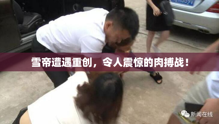雪帝遭遇重创，令人震惊的肉搏战！