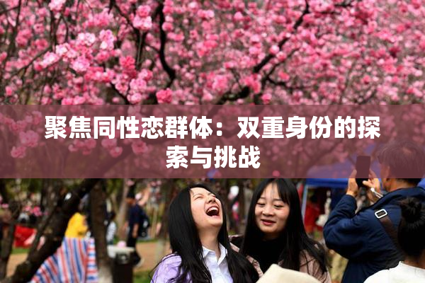 聚焦同性恋群体：双重身份的探索与挑战