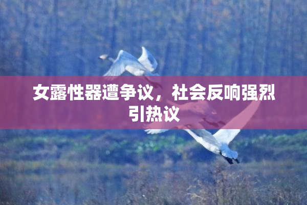 女露性器遭争议，社会反响强烈引热议