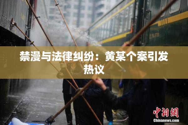 禁漫与法律纠纷：黄某个案引发热议