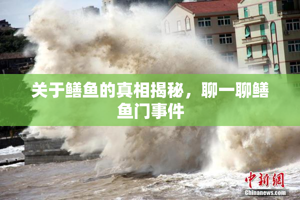 关于鳝鱼的真相揭秘，聊一聊鳝鱼门事件