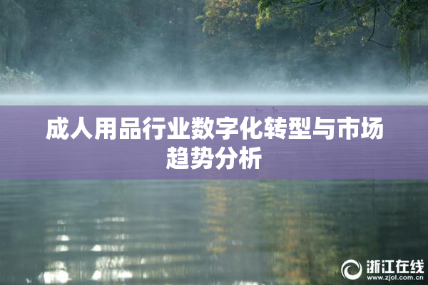 成人用品行业数字化转型与市场趋势分析