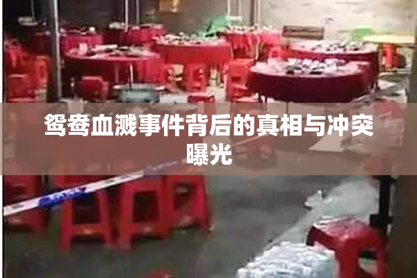 鸳鸯血溅事件背后的真相与冲突曝光