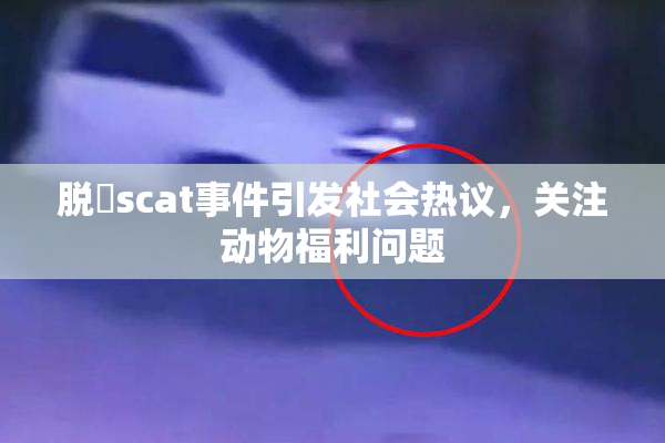 脱糞scat事件引发社会热议，关注动物福利问题