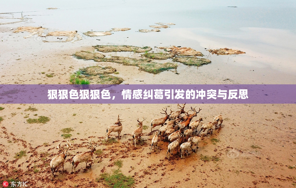 狠狠色狠狠色，情感纠葛引发的冲突与反思