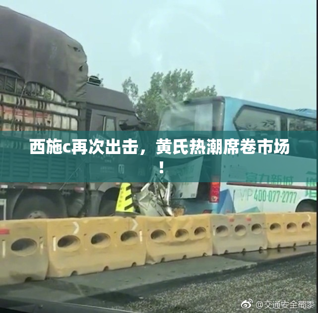 西施c再次出击，黄氏热潮席卷市场！