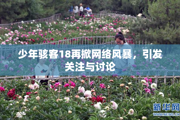 少年骇客18再掀网络风暴，引发关注与讨论