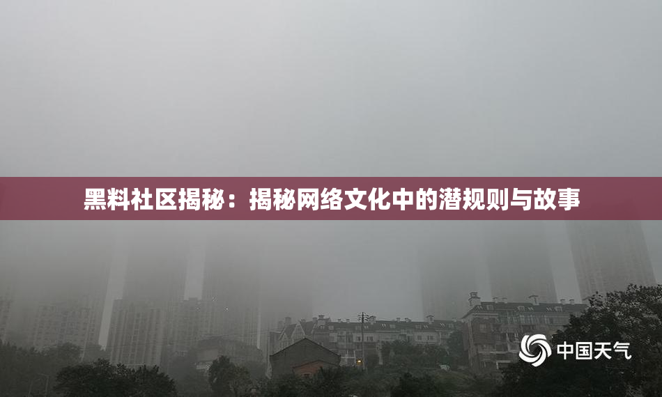 黑料社区揭秘：揭秘网络文化中的潜规则与故事
