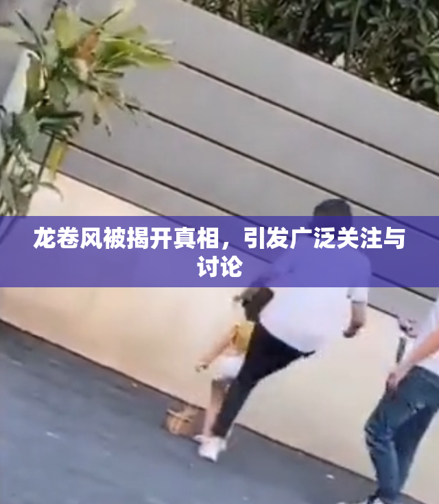 龙卷风被揭开真相，引发广泛关注与讨论