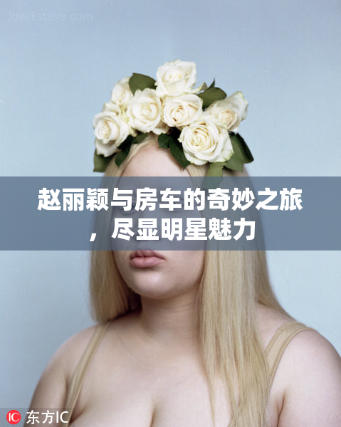 赵丽颖与房车的奇妙之旅，尽显明星魅力