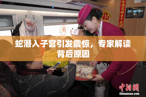 蛇潜入子宫引发震惊，专家解读背后原因