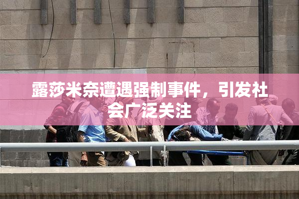 露莎米奈遭遇强制事件，引发社会广泛关注