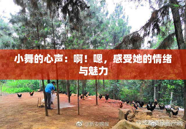 小舞的心声：啊！嗯，感受她的情绪与魅力