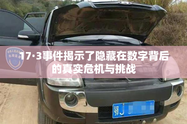 17·3事件揭示了隐藏在数字背后的真实危机与挑战