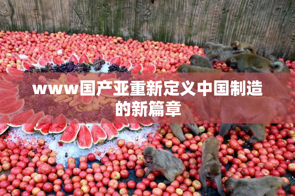 www国产亚重新定义中国制造的新篇章