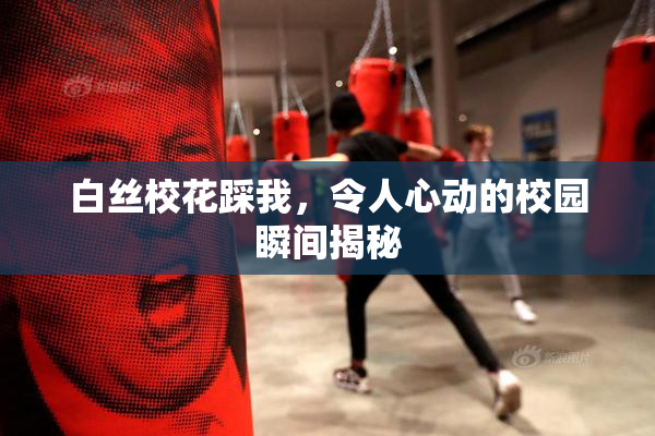 白丝校花踩我，令人心动的校园瞬间揭秘