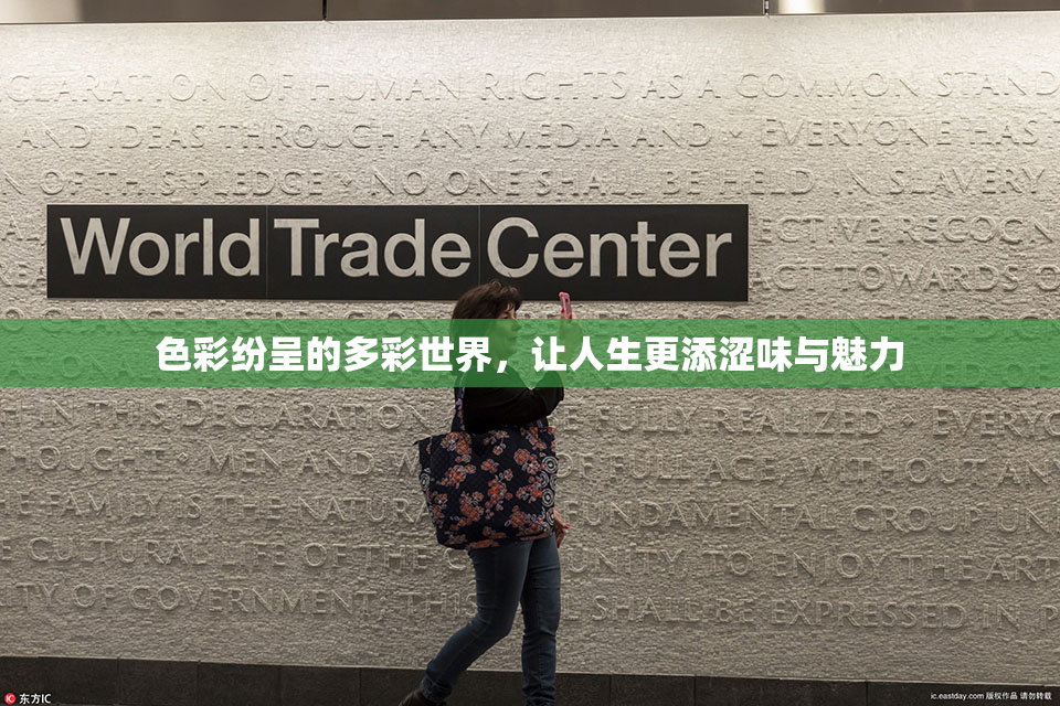 色彩纷呈的多彩世界，让人生更添涩味与魅力