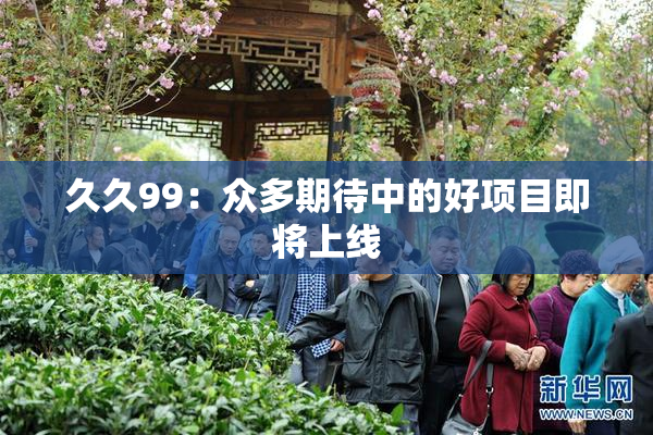 久久99：众多期待中的好项目即将上线