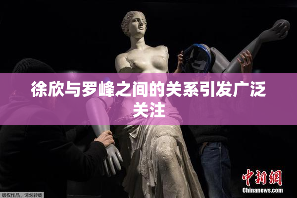徐欣与罗峰之间的关系引发广泛关注
