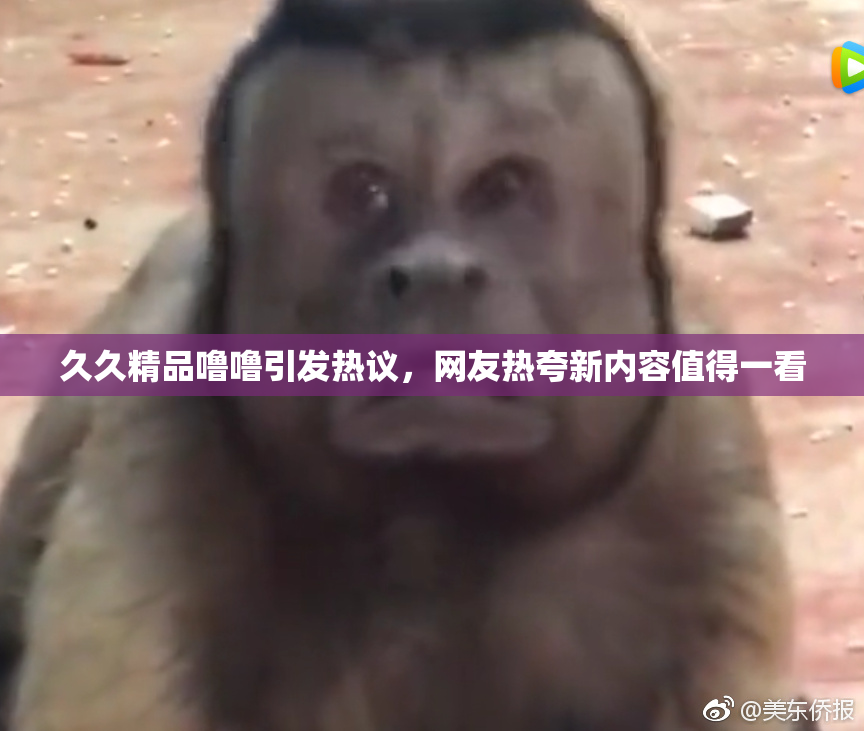 久久精品噜噜引发热议，网友热夸新内容值得一看