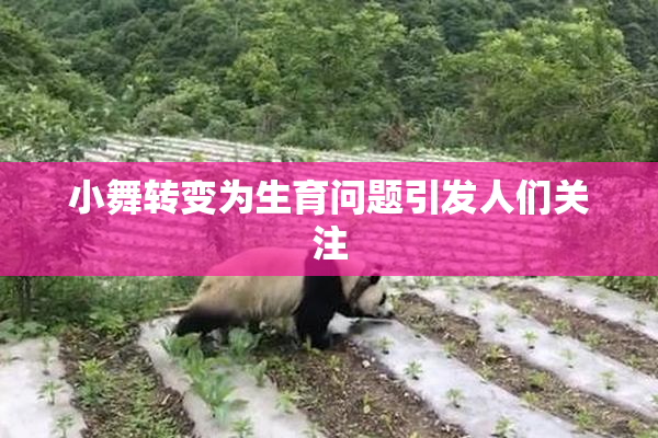 小舞转变为生育问题引发人们关注