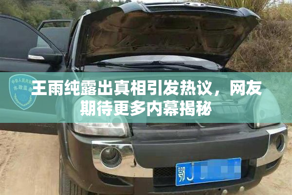 王雨纯露出真相引发热议，网友期待更多内幕揭秘