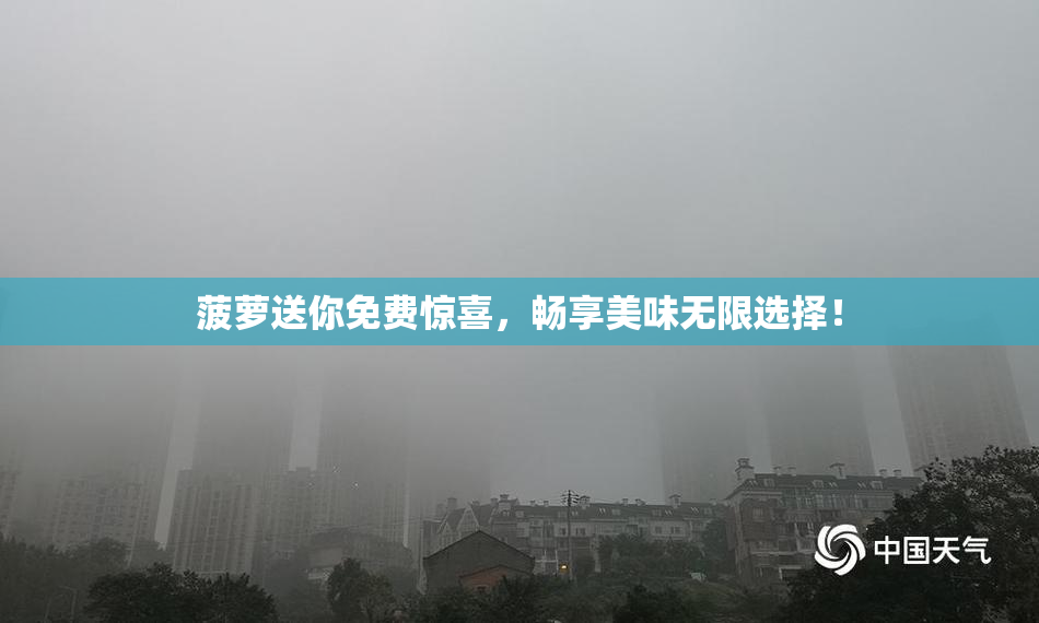 菠萝送你免费惊喜，畅享美味无限选择！