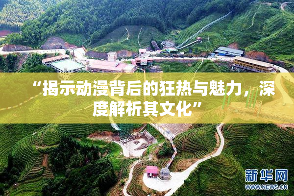 “揭示动漫背后的狂热与魅力，深度解析其文化”
