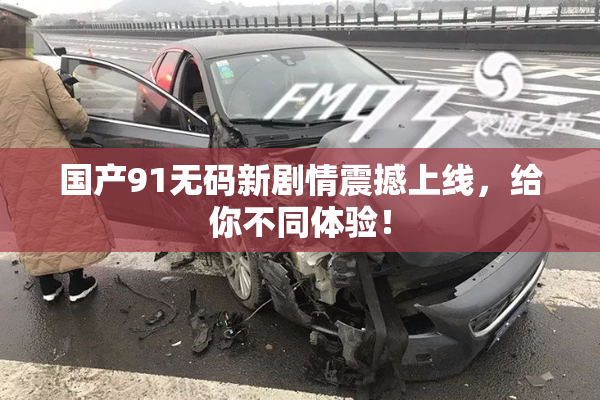国产91无码新剧情震撼上线，给你不同体验！