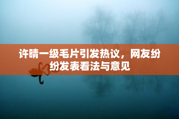 许晴一级毛片引发热议，网友纷纷发表看法与意见