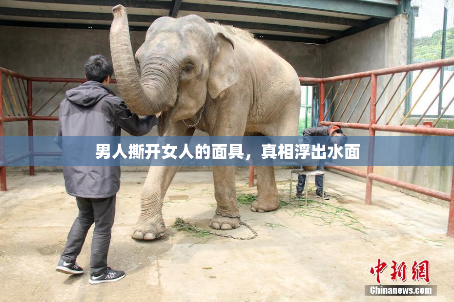 男人撕开女人的面具，真相浮出水面
