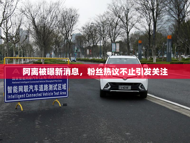 阿离被曝新消息，粉丝热议不止引发关注