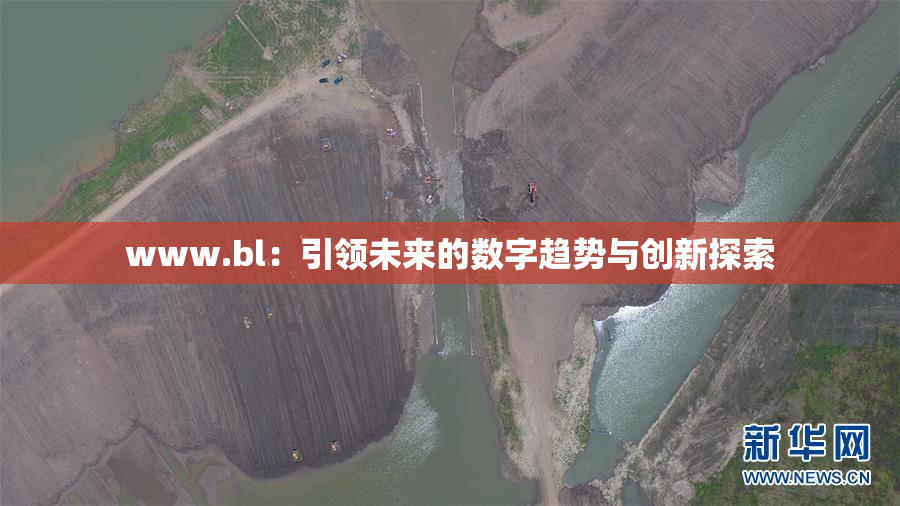 www.bl：引领未来的数字趋势与创新探索