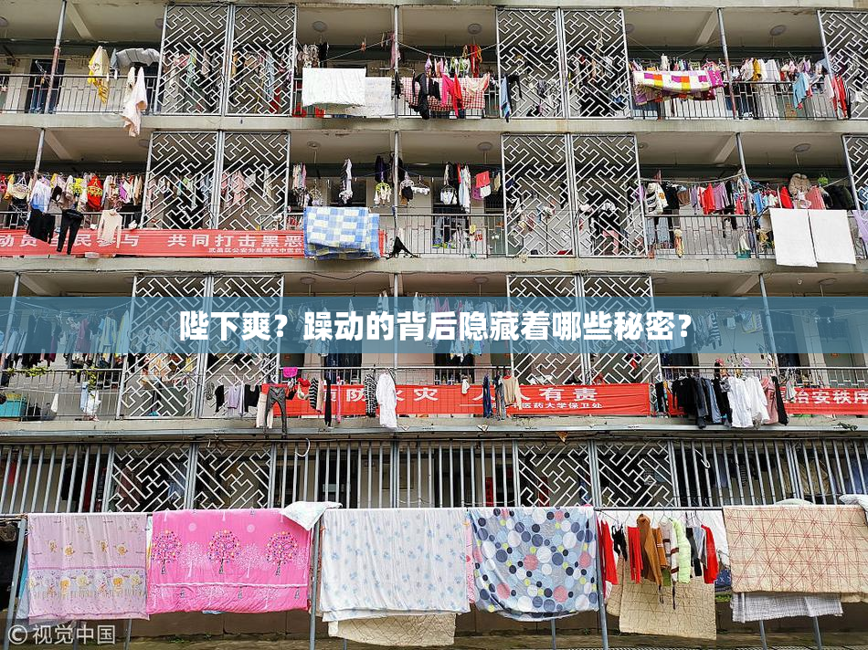 陛下爽？躁动的背后隐藏着哪些秘密？