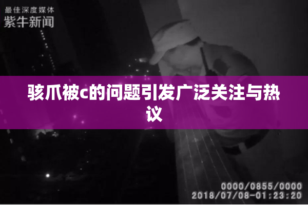 骇爪被c的问题引发广泛关注与热议