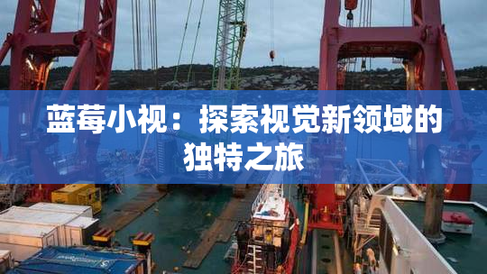 蓝莓小视：探索视觉新领域的独特之旅