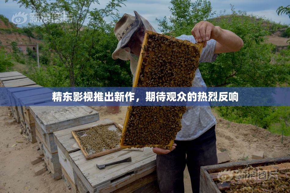 精东影视推出新作，期待观众的热烈反响