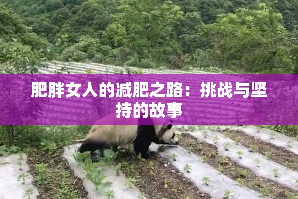 肥胖女人的减肥之路：挑战与坚持的故事