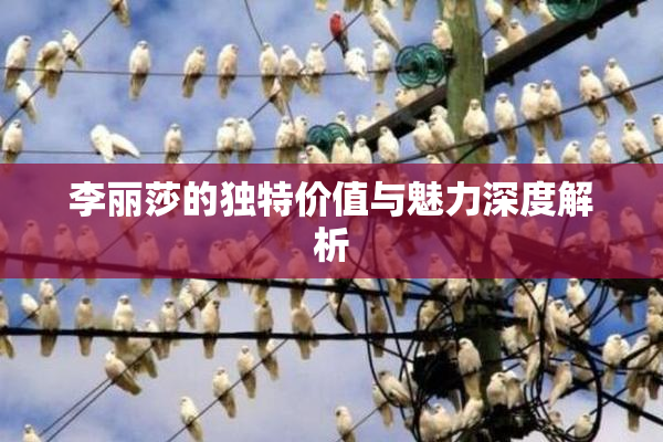 李丽莎的独特价值与魅力深度解析