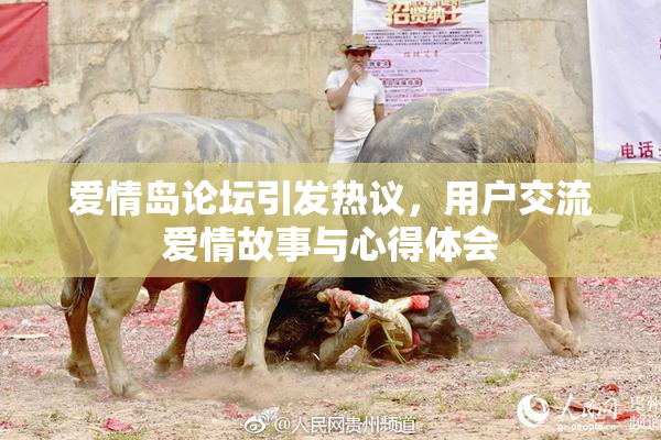 爱情岛论坛引发热议，用户交流爱情故事与心得体会