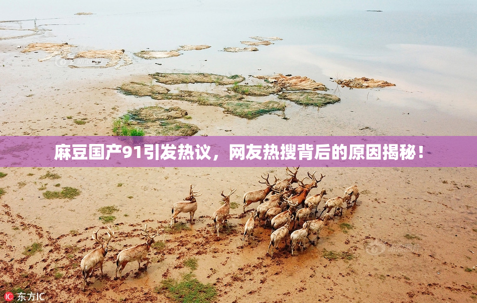 麻豆国产91引发热议，网友热搜背后的原因揭秘！