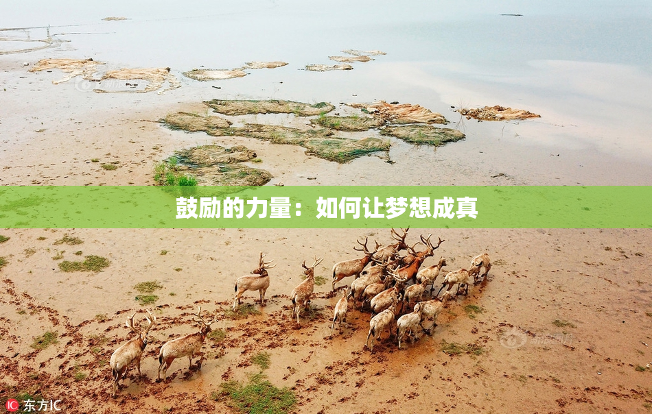 鼓励的力量：如何让梦想成真