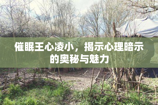 催眠王心凌小，揭示心理暗示的奥秘与魅力