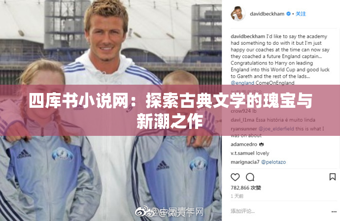 四库书小说网：探索古典文学的瑰宝与新潮之作