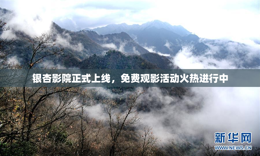 银杏影院正式上线，免费观影活动火热进行中